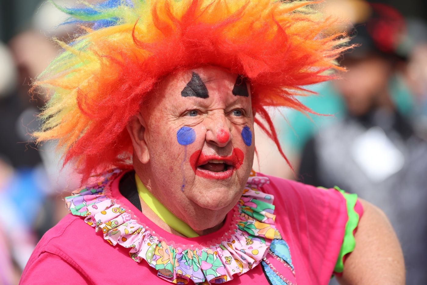 Botia payaso (Chromobotia macracanthus): ficha y cuidados reales