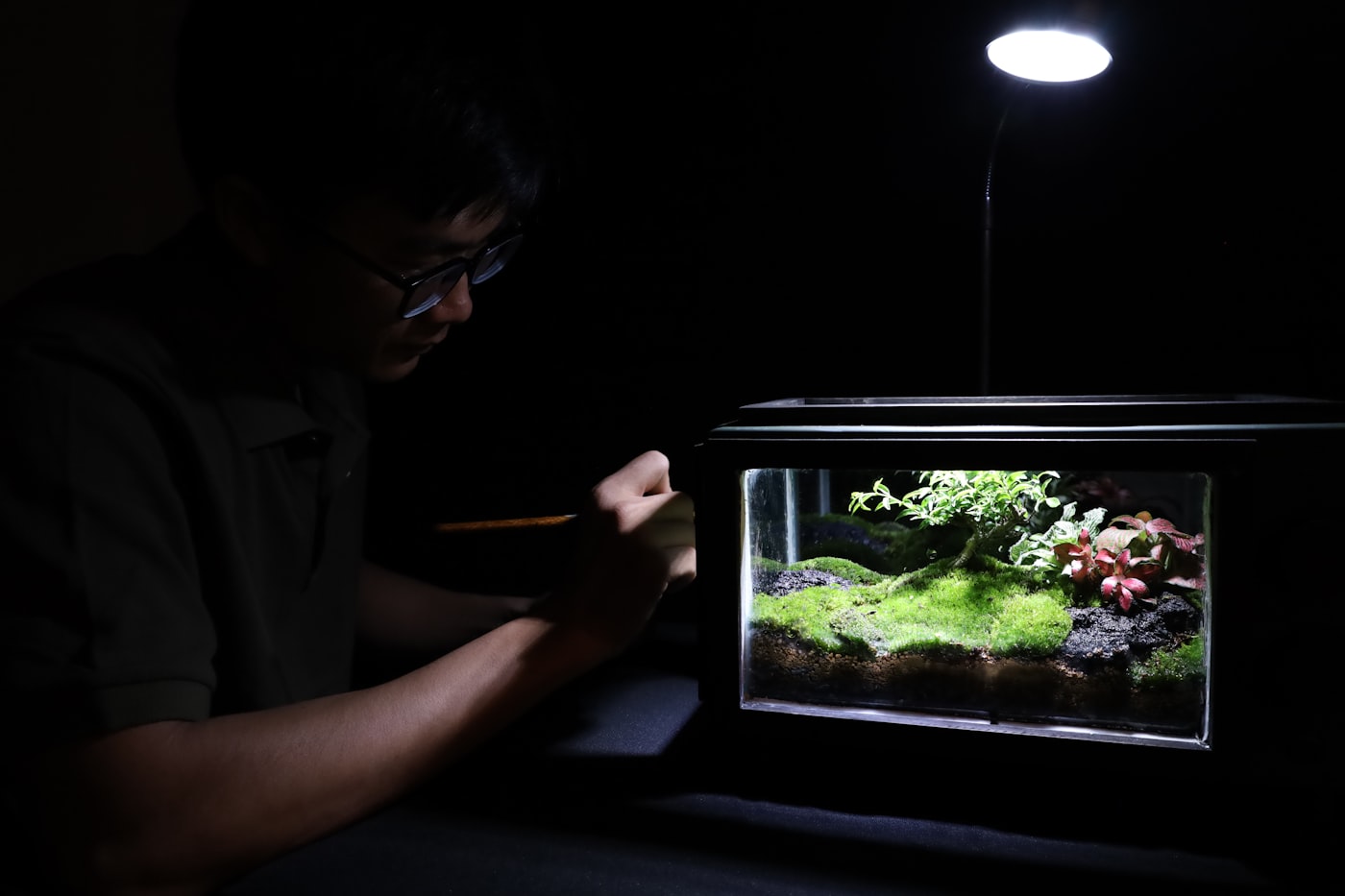 Pantallas LED para acuarios