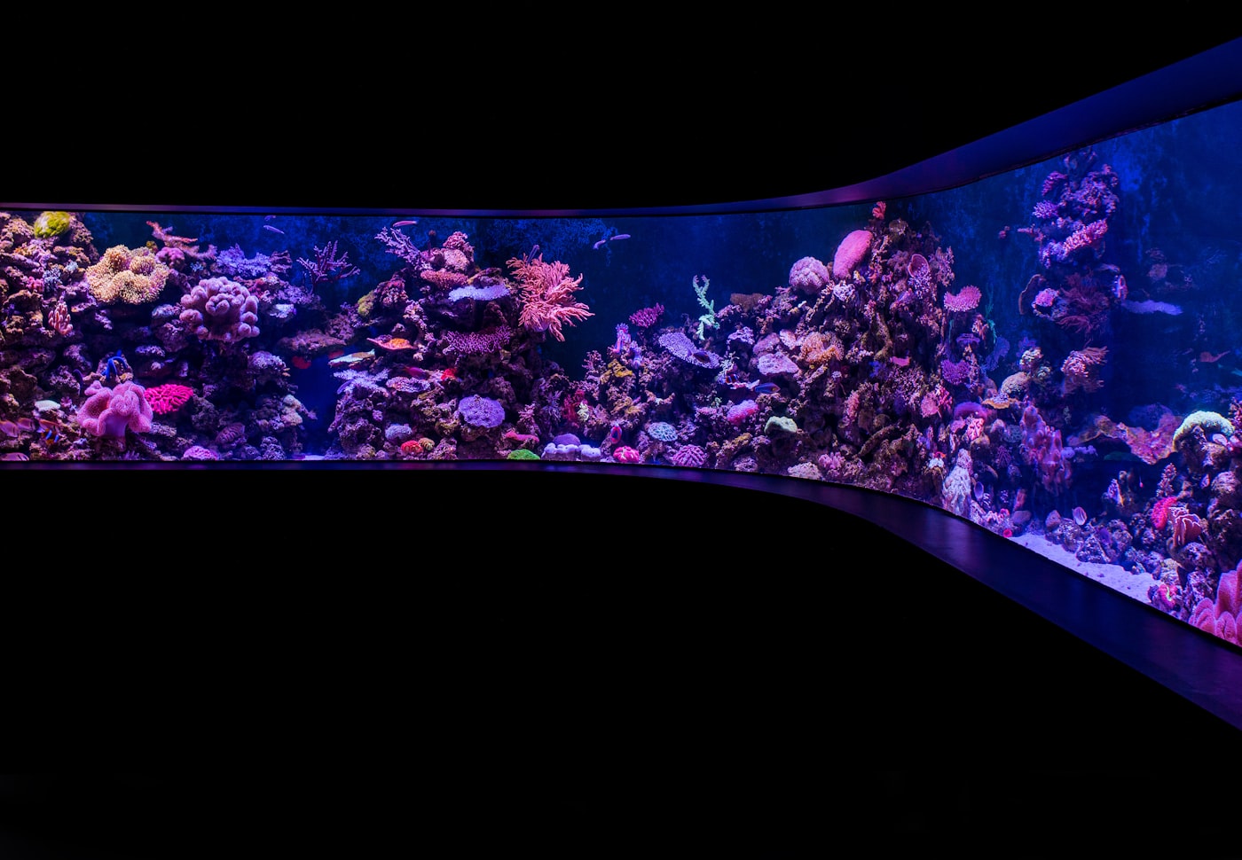 Calentador electrónico Fluval M 100 W
